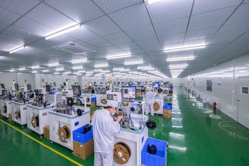 17歲助親創業，年入300萬的輝煌背后 我被辭退的電子產品工廠故事