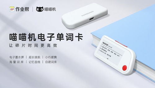 作業幫喵喵機電子單詞卡 開啟智能硬件學習新篇章